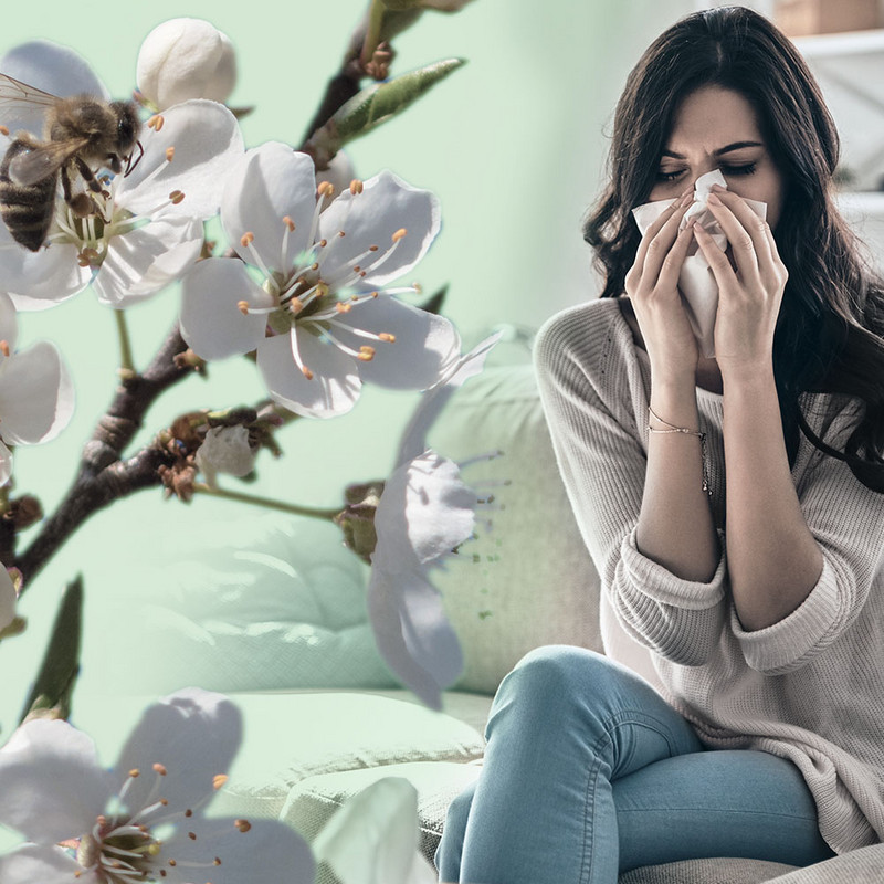 Breathing freely – made possible for allergy sufferers: Pollen (farina) and other allergens can literally take your breath away. The AirgoClean® 350 E reliably filters almost all airborne allergens from the room air.